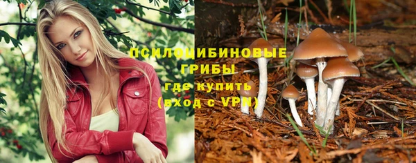 бошки Медногорск